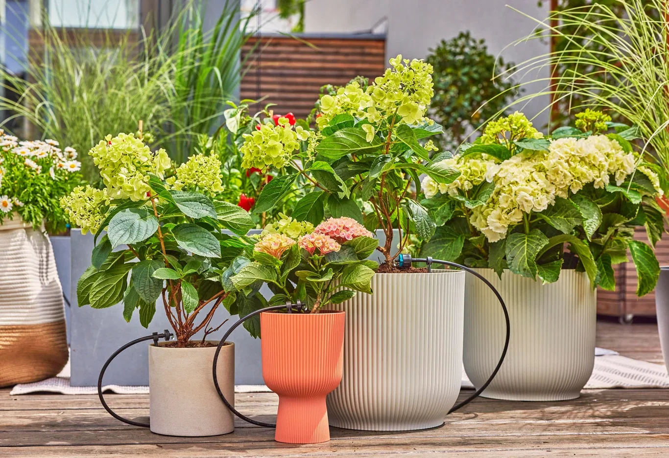 MDS StartSet Balcony 15 plants