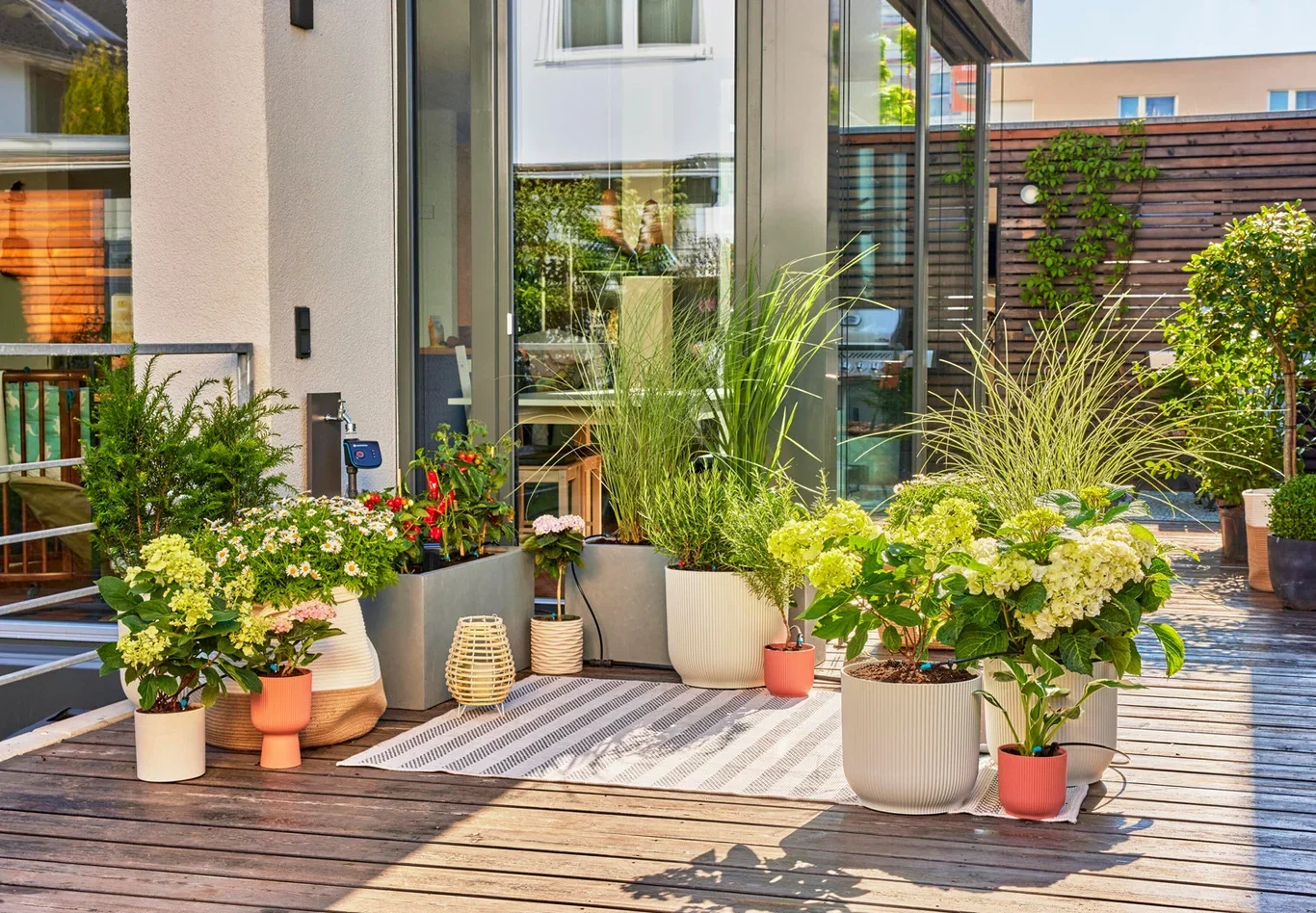 MDS Terrace Set 30 plants