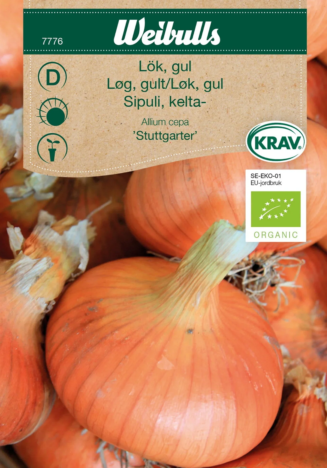 Gul løk 'Stuttgarter' KRAV