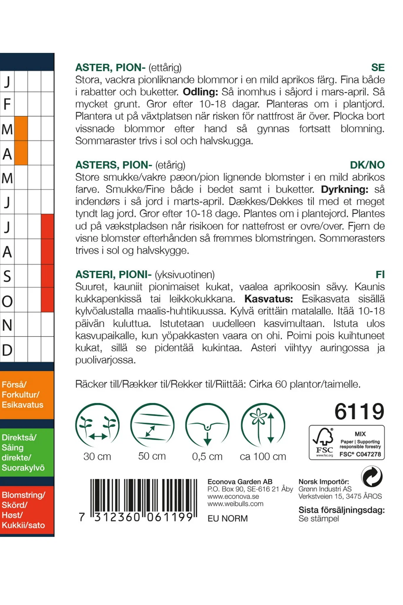 Callistephus chinensis