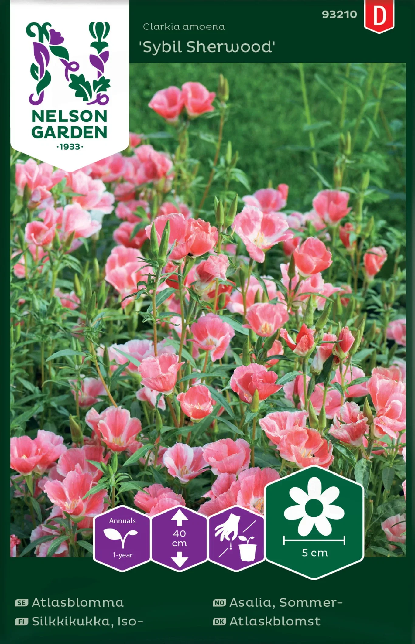 Atlasblomma, Sybil Sherwood, rosa