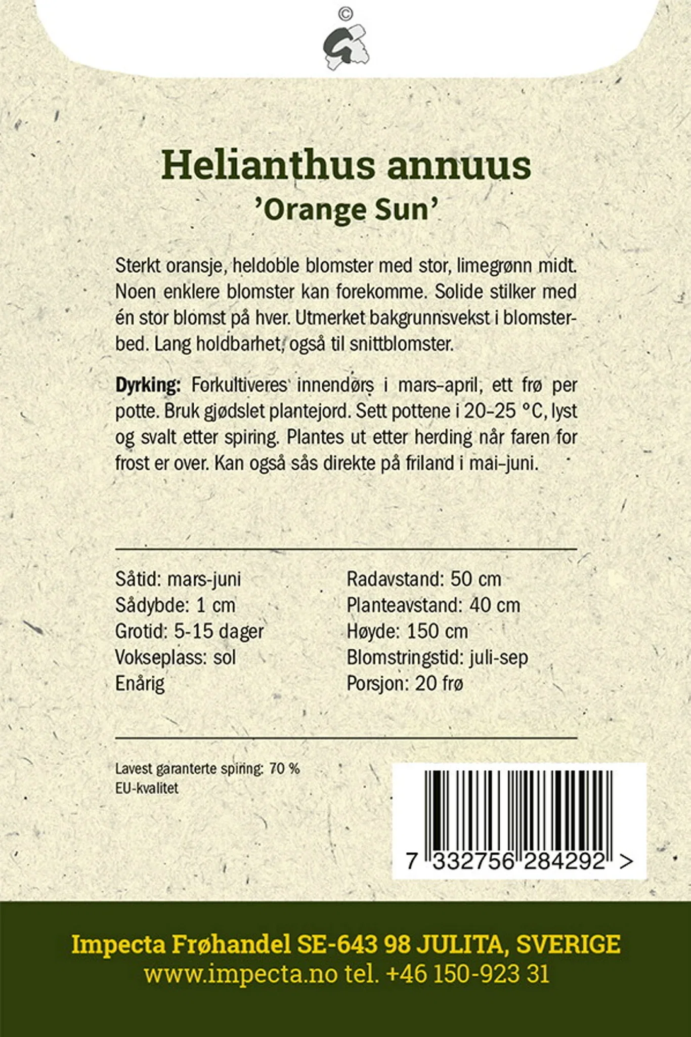 Fylt solsikke 'Orange Sun'