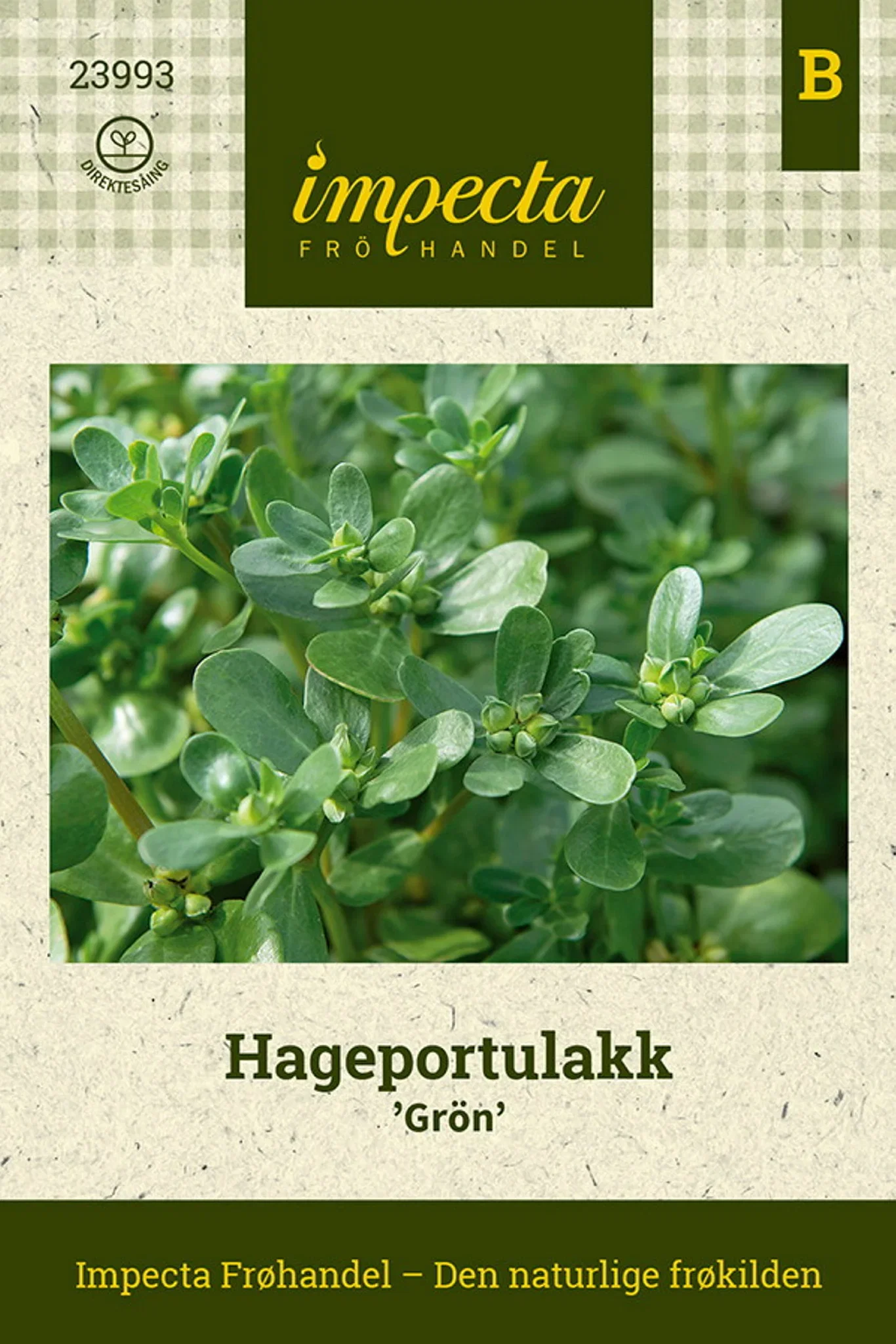 Hageportulakk 'Grön'