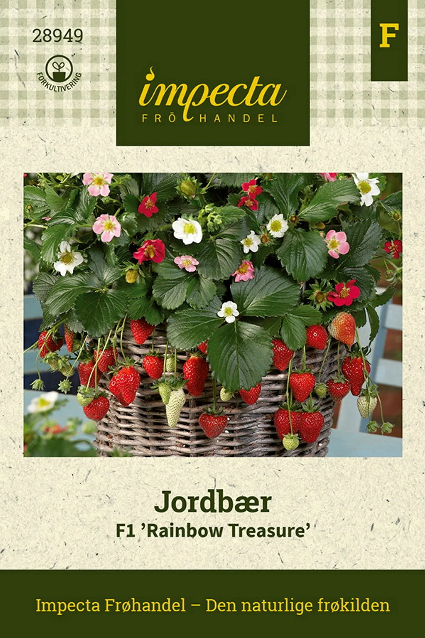 Jordbær F1 'Rainbow Treasure'