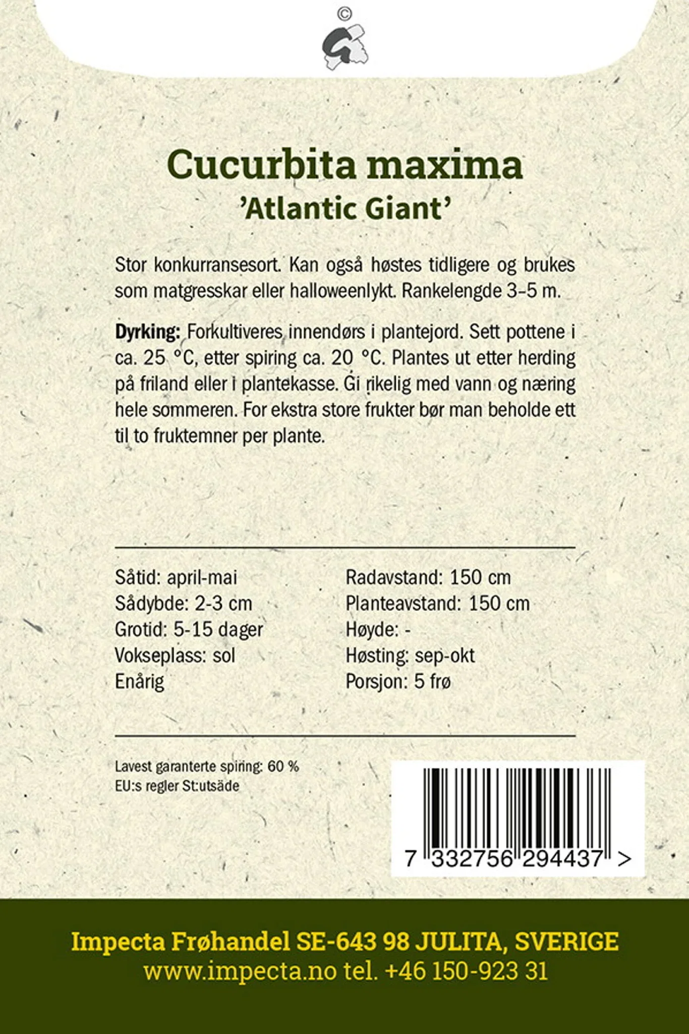 Kjempegresskar 'Atlantic Giant'