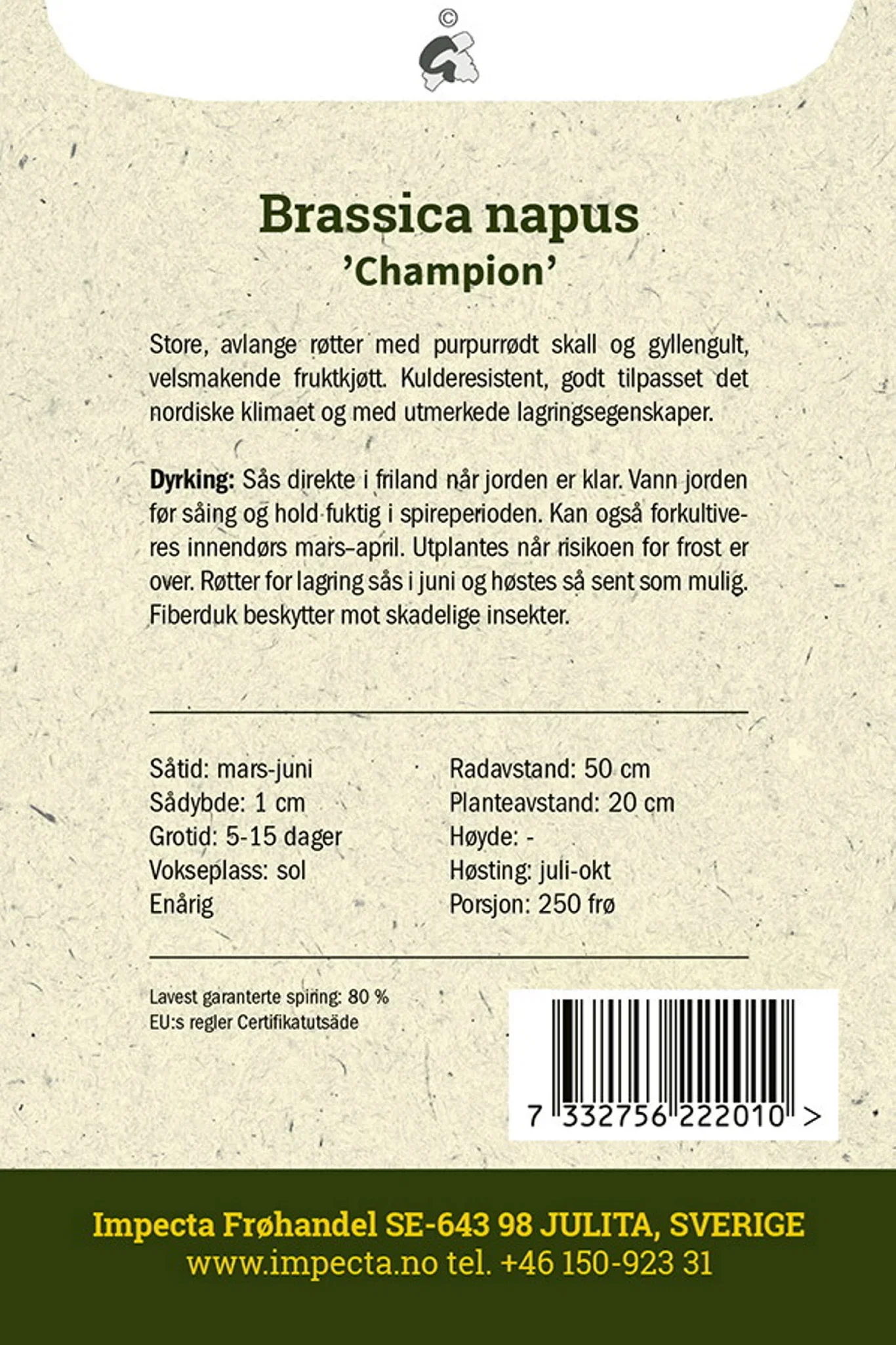 Kålrot 'Champion'