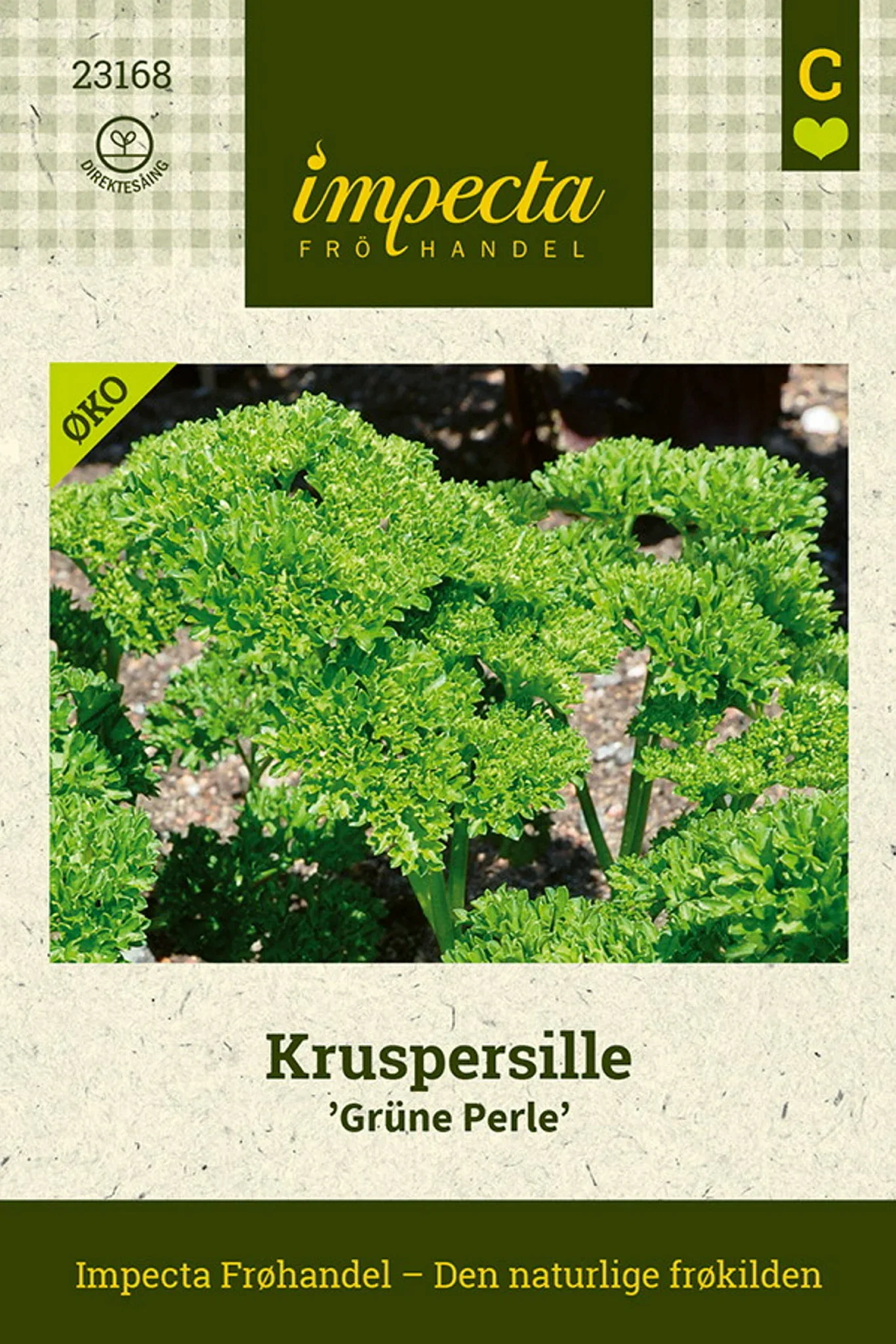 Kruspersille 'Grüne Perle'