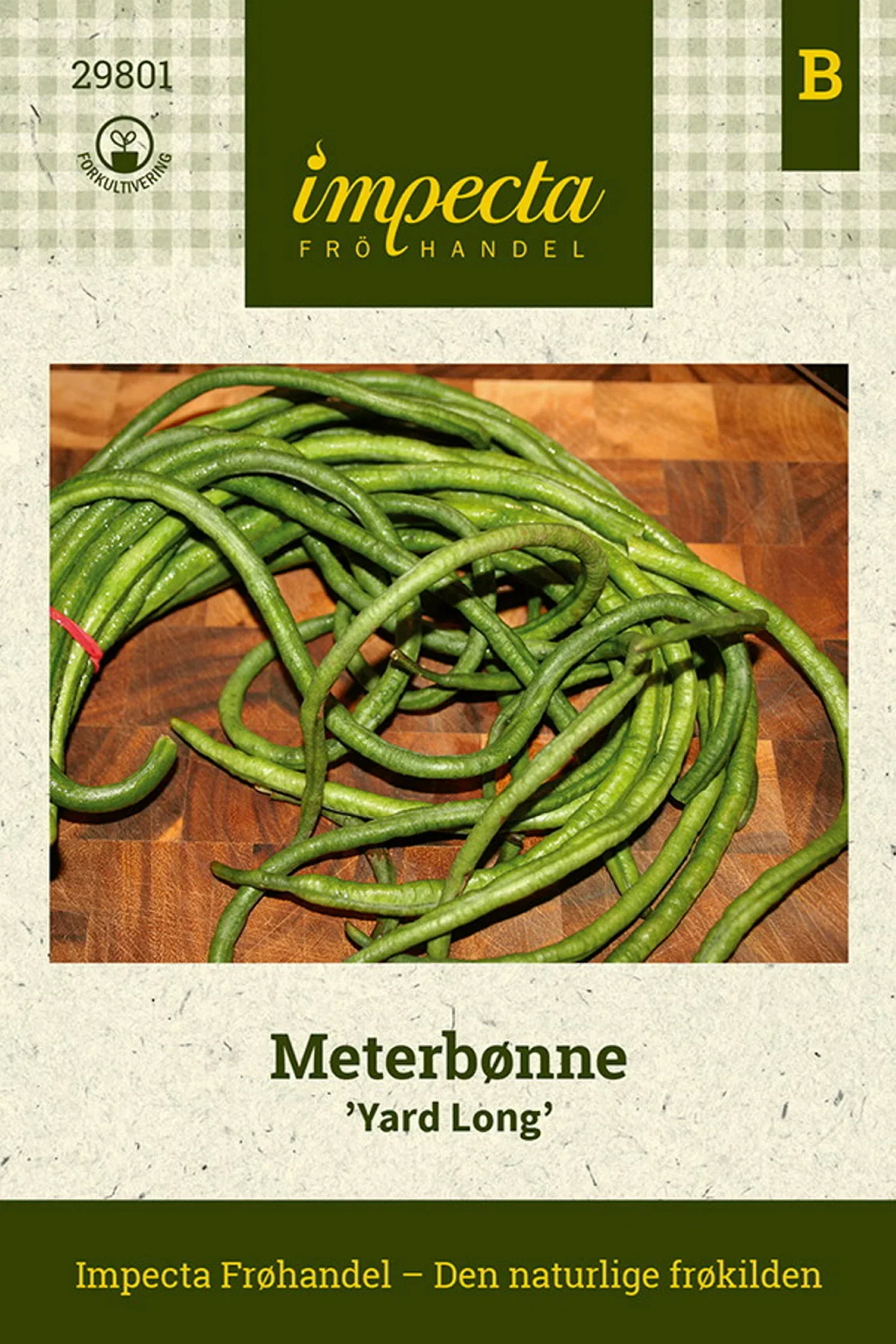 Meterbønne 'Yard Long'