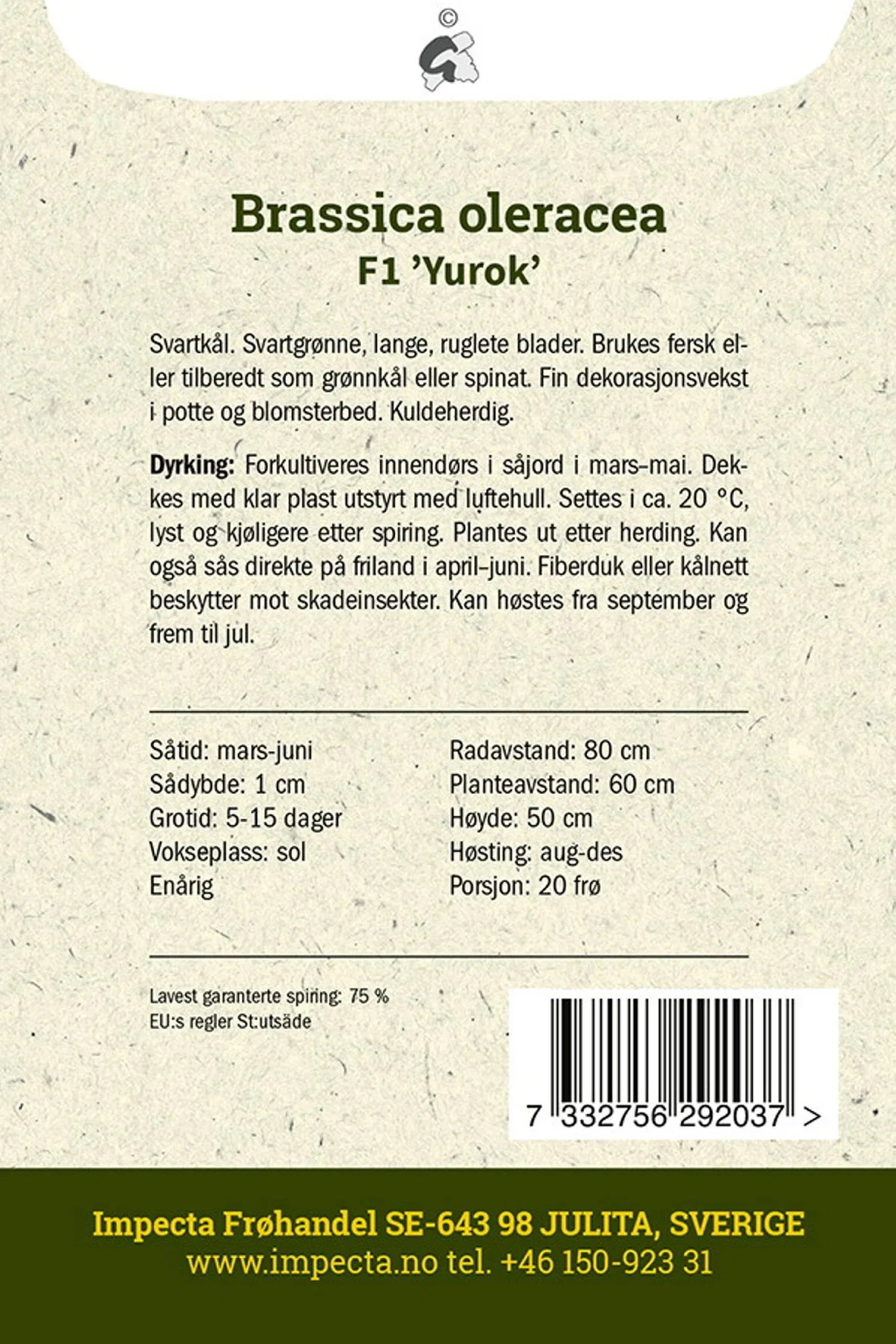 Palmekål F1 'Yurok'