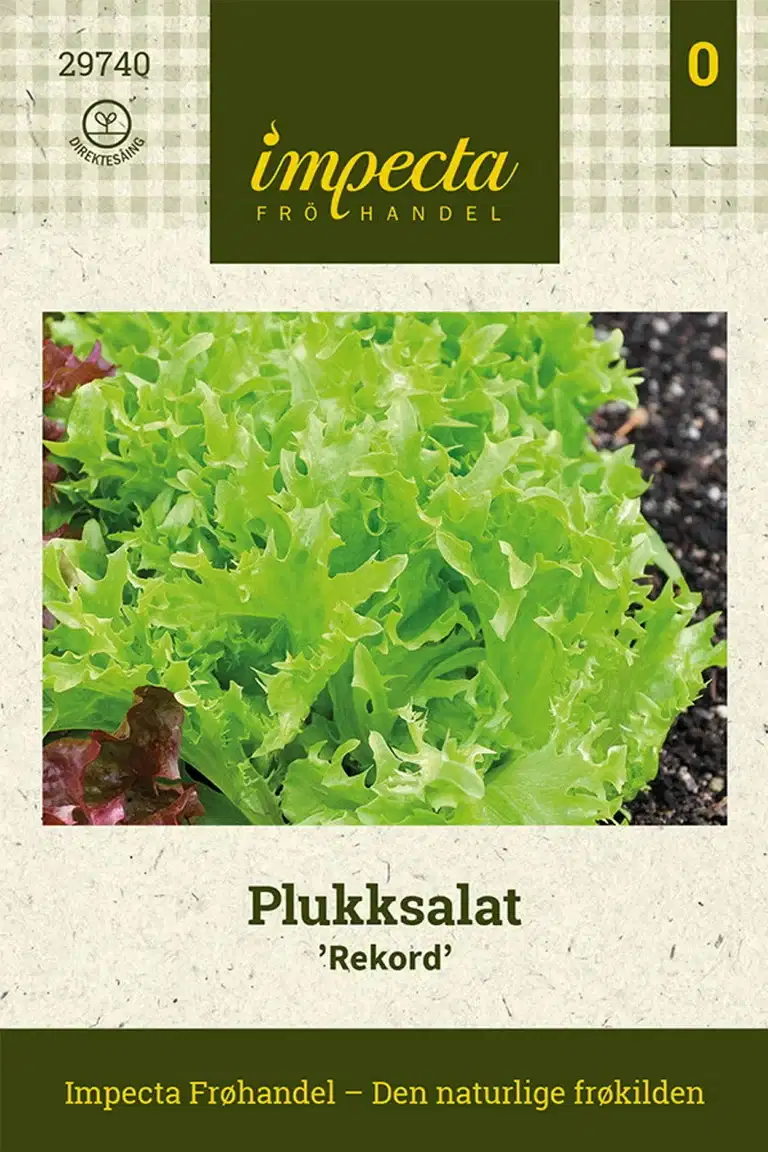 Plukksalat 'Rekord'
