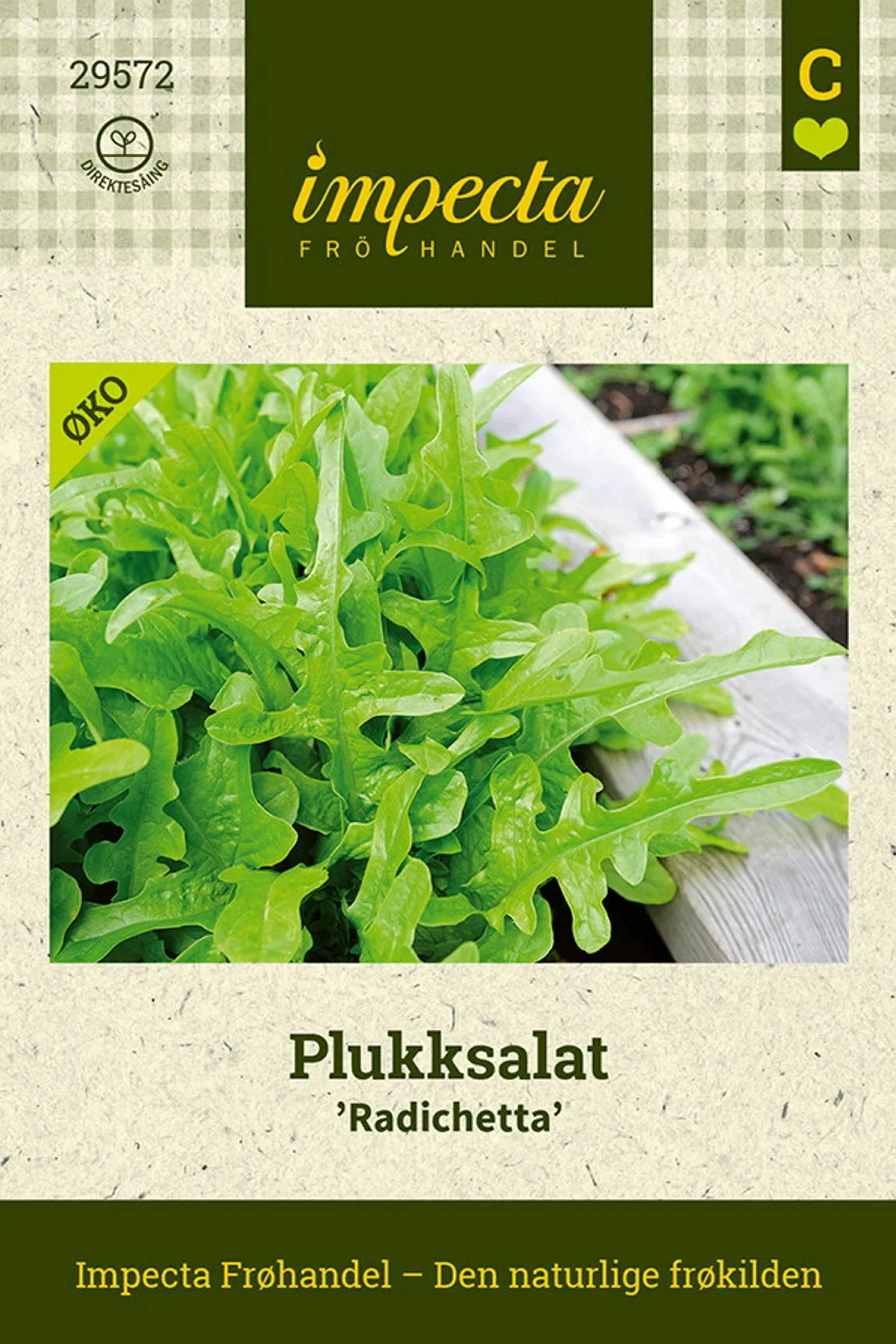 Plukksalat 'Radichetta'