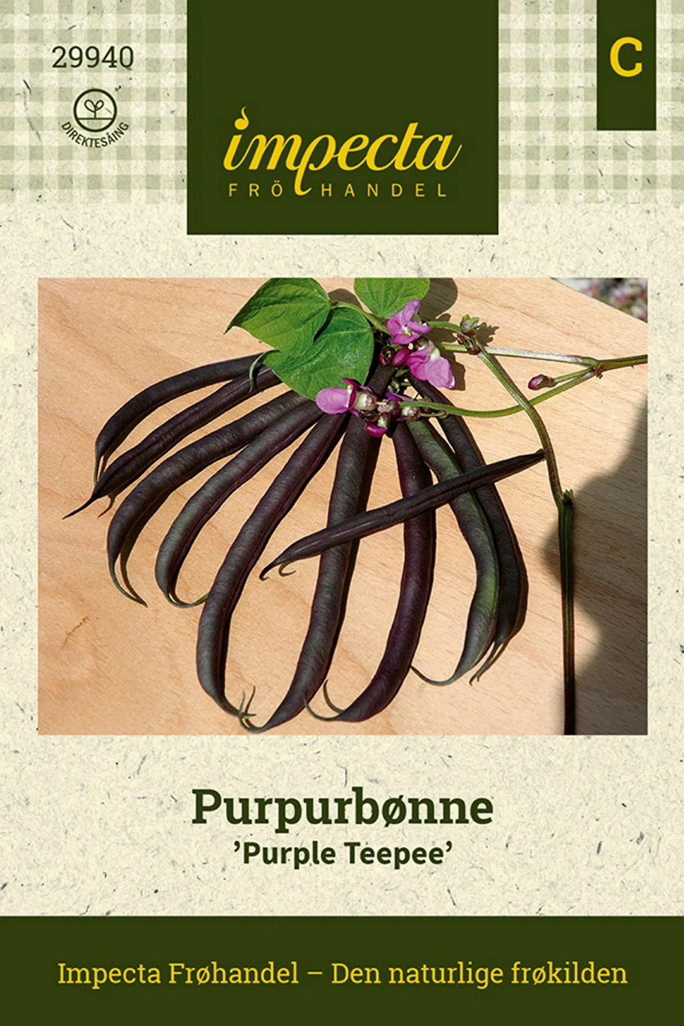 Purpurbønne 'Purple Teepee'