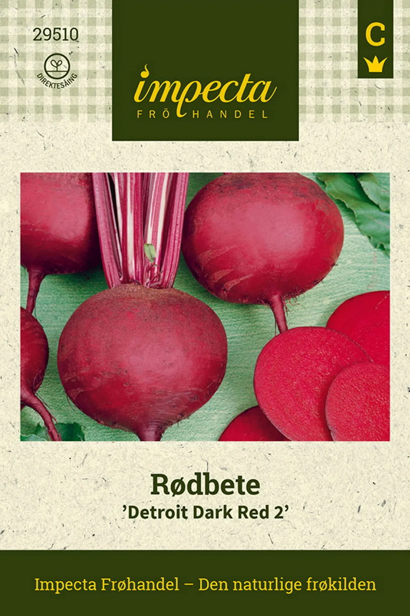 Rødbete 'Detroit Dark Red 2'