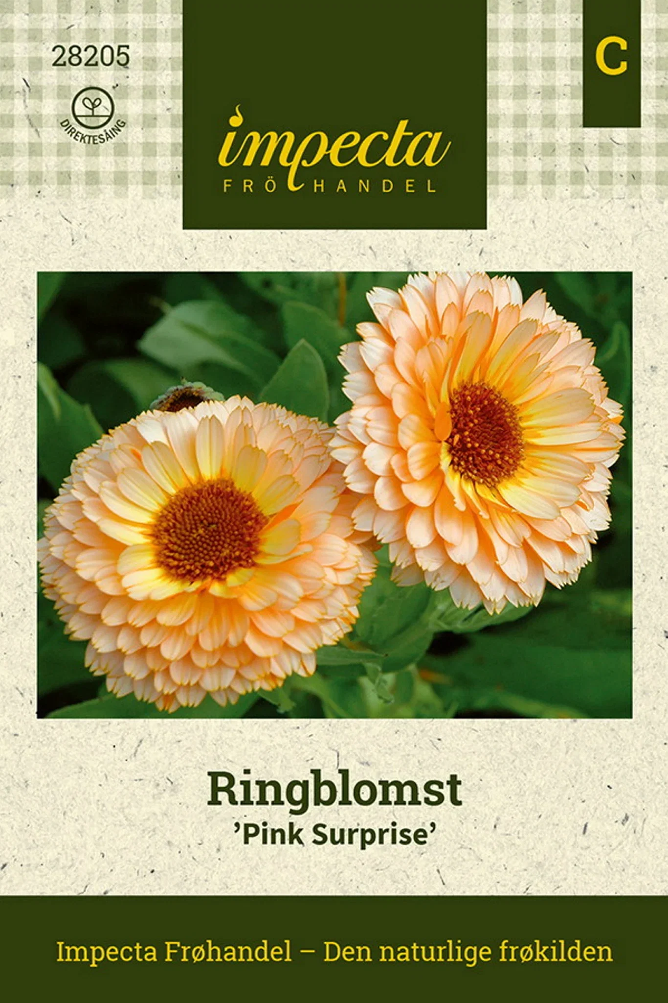 Ringblomst 'Pink Surprise'