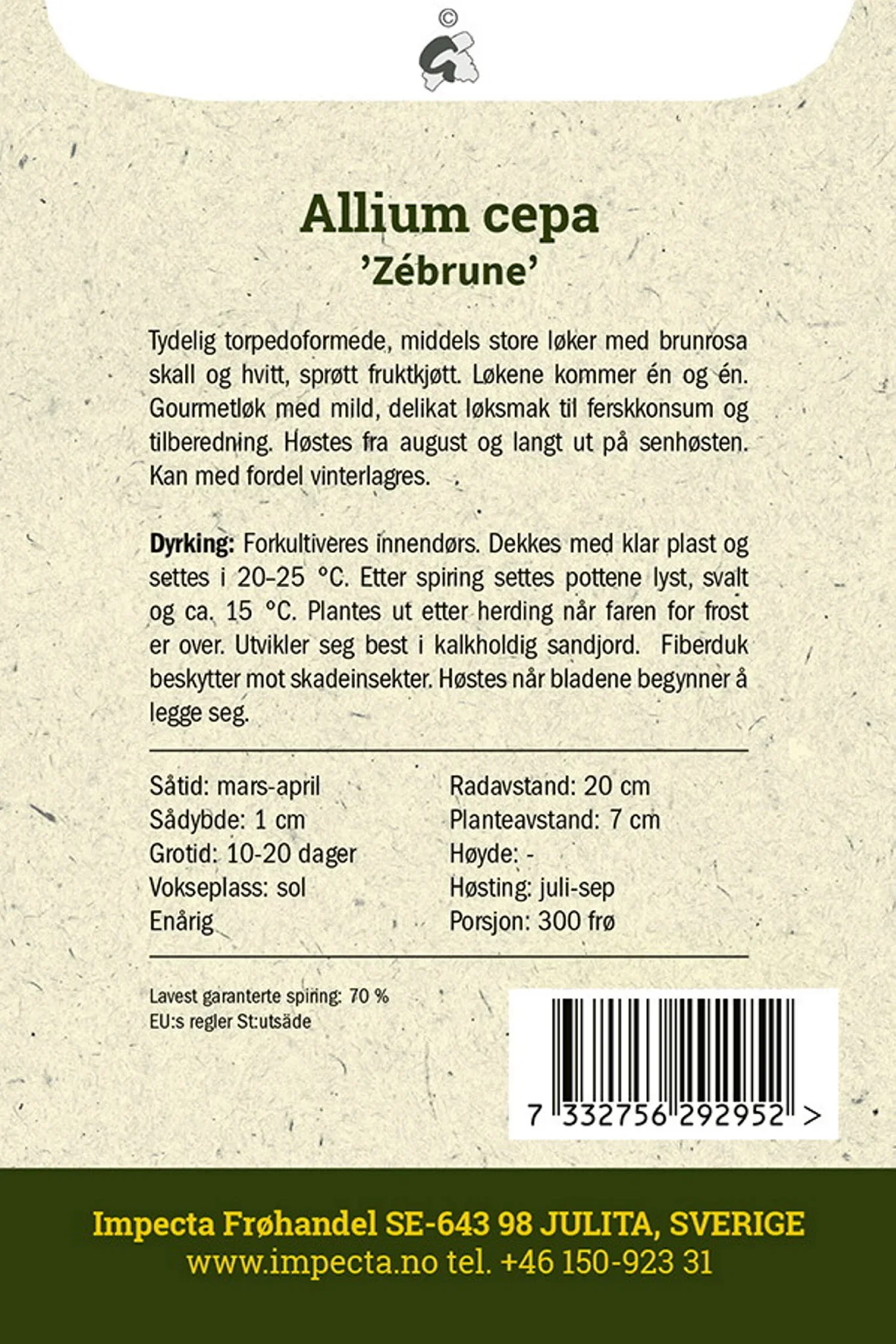 Sjalottløk 'Zébrune'