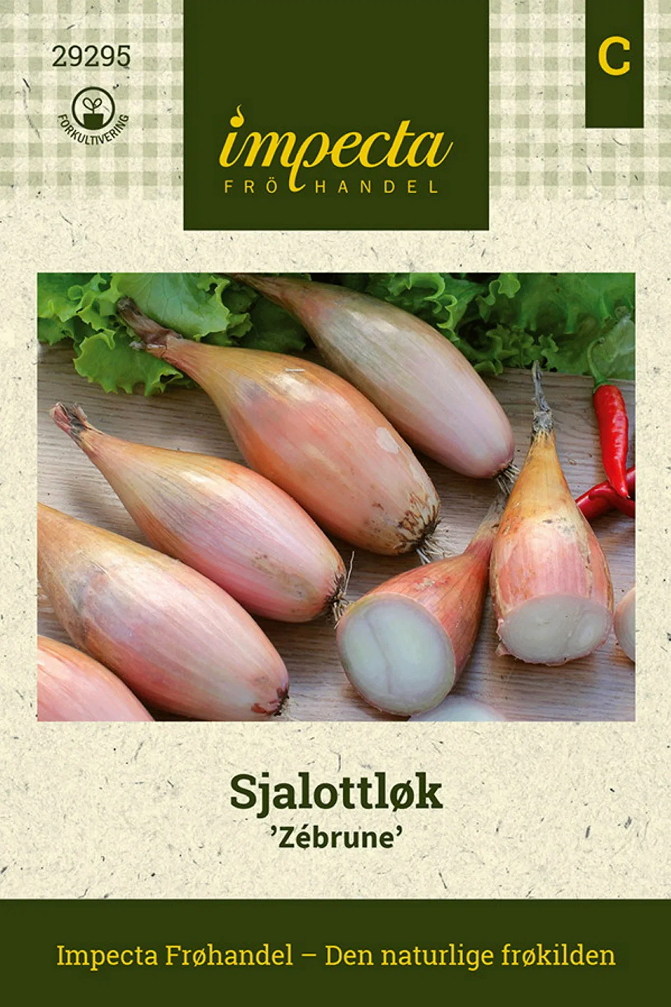 Sjalottløk 'Zébrune'