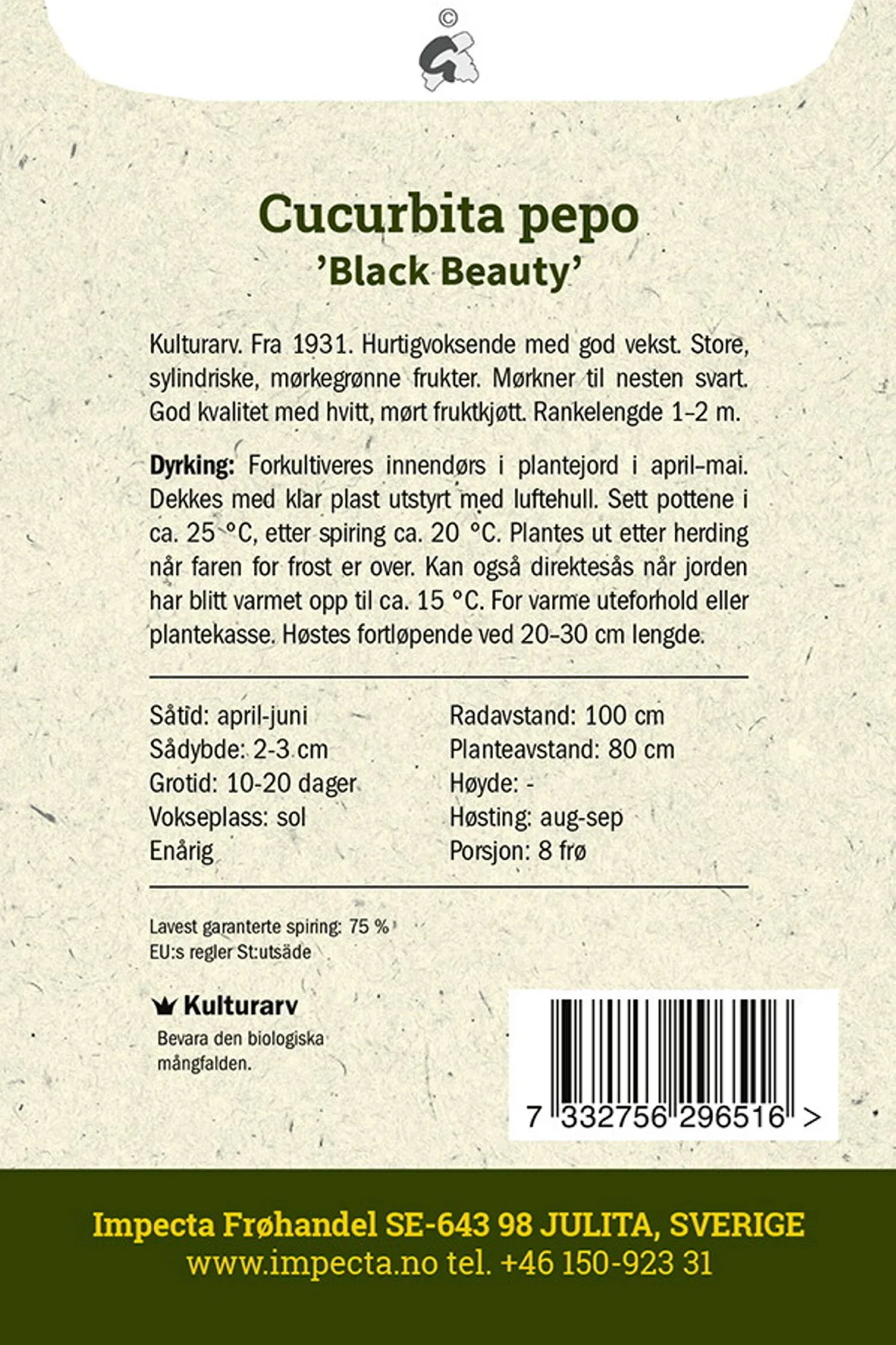 Squash 'Black Beauty'