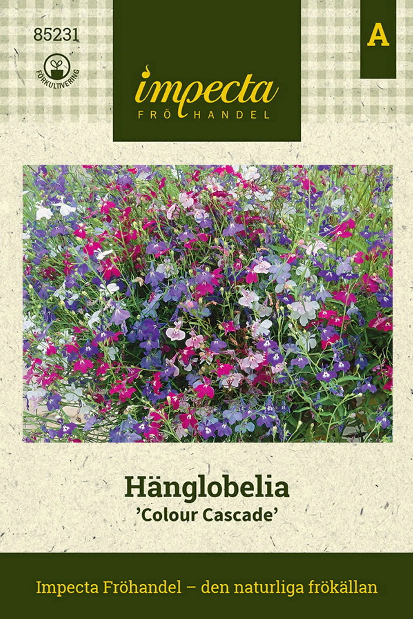 Hänglobelia 'Colour Cascade'