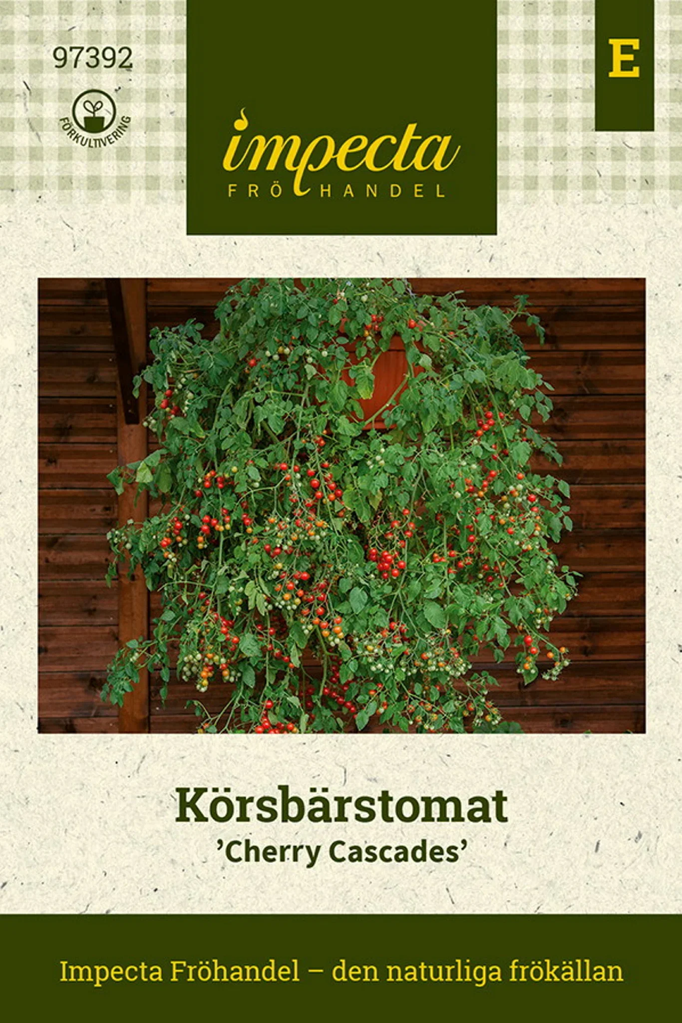 Kirsebærtomat 'Cherry Cascades'