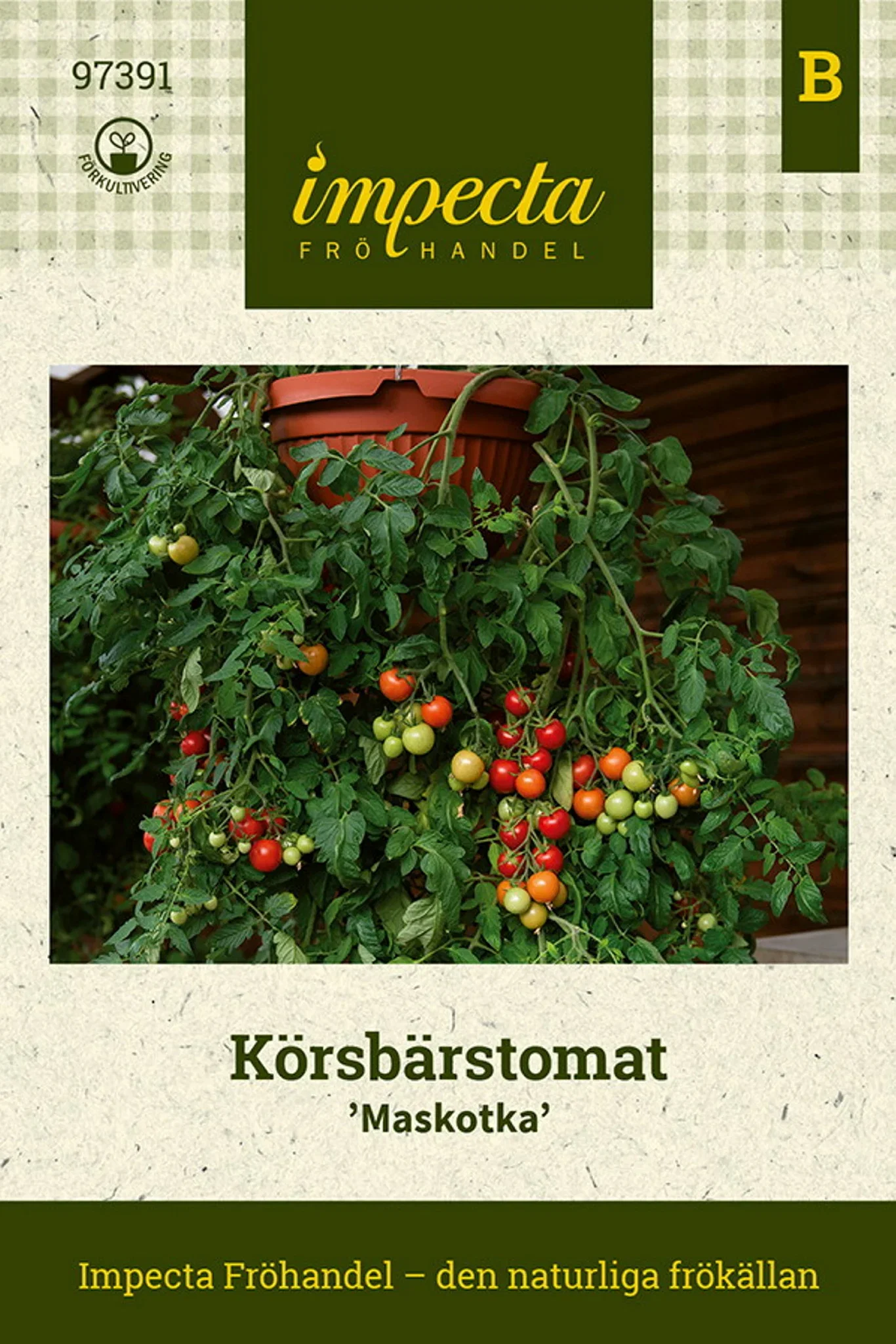 Körsbärstomat 'Maskotka'