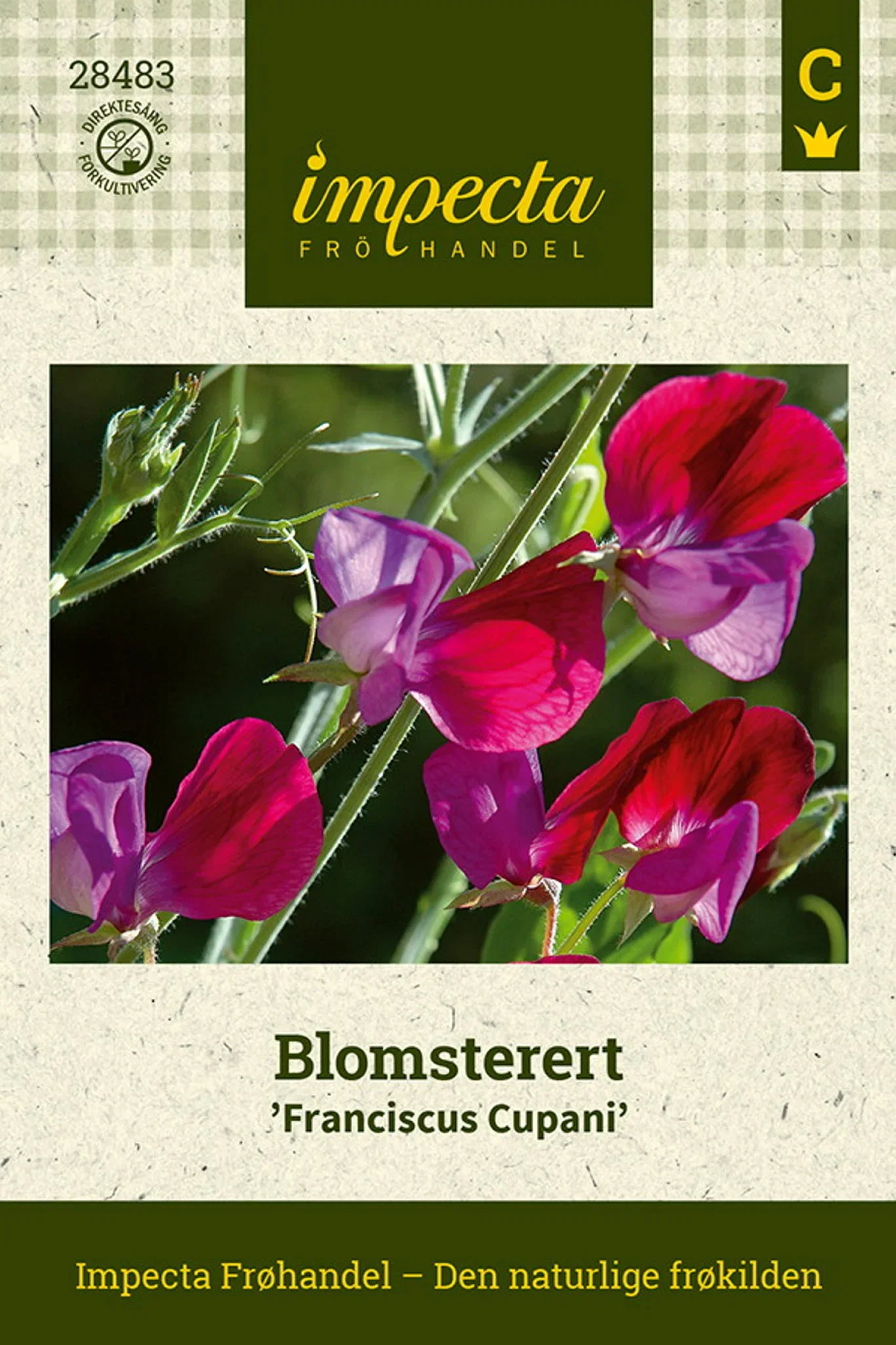 Blomsterert 'Francis Cupani'