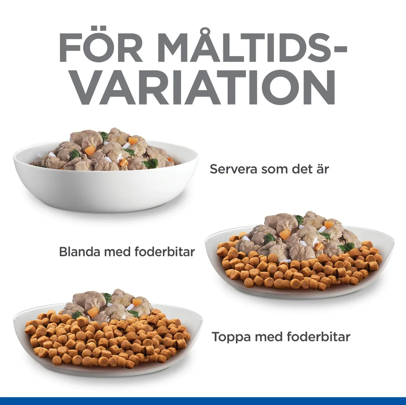 SP Ca Adt Sm&Min Ckn&Bf 12x80G