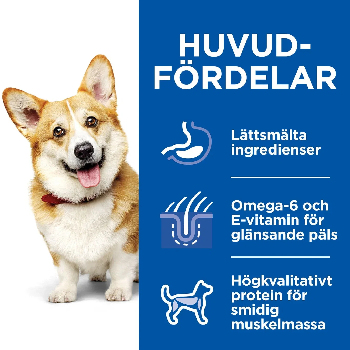 SP Ca Adt Sm&Min Ckn&Bf 12x80G