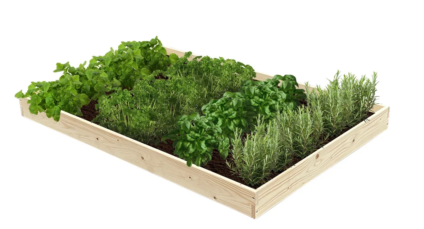 Pallet Collar Easy Bed 80X120