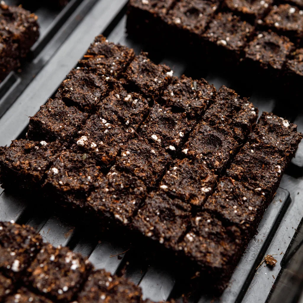 Brikettlager for såing