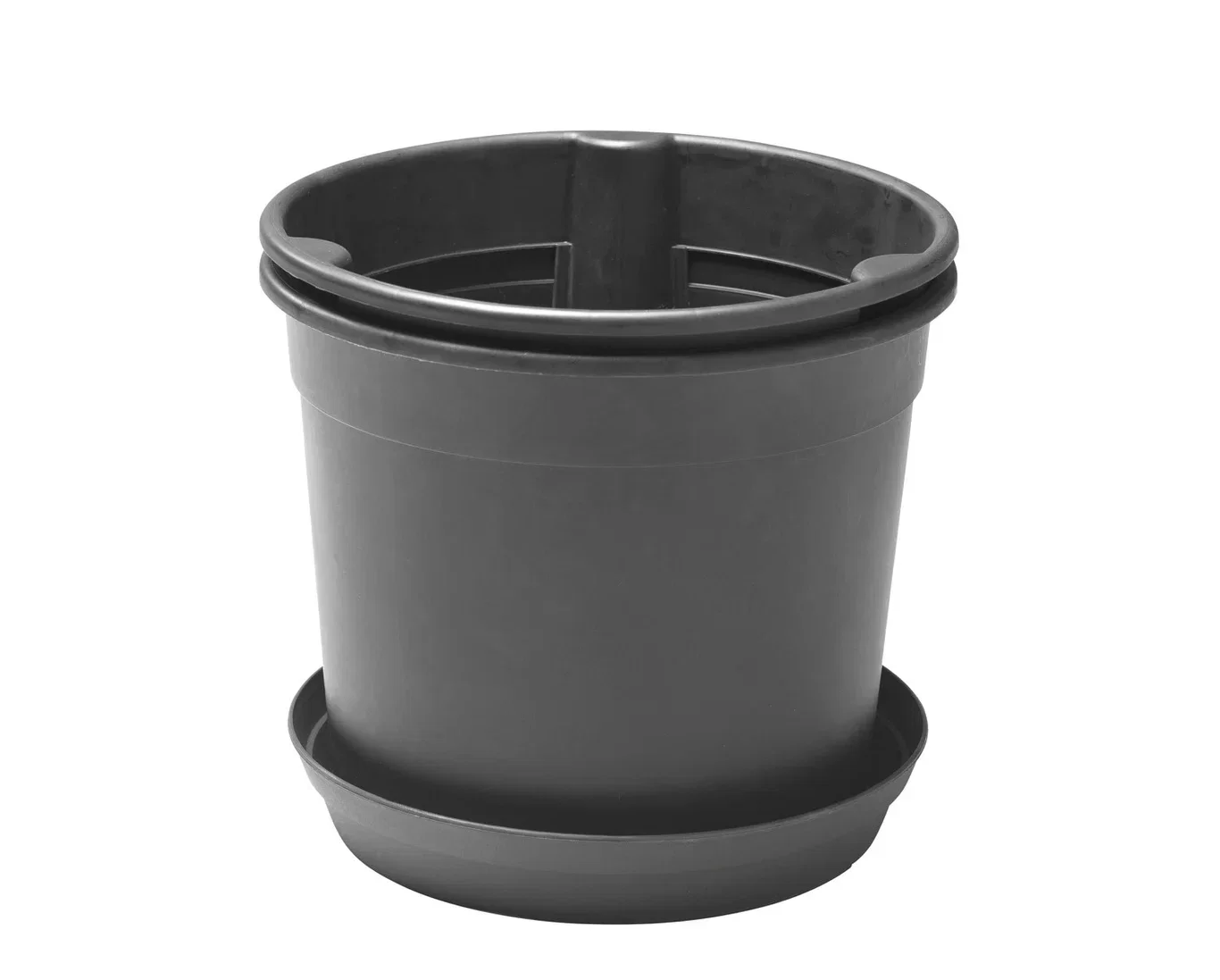 Potato Plant Pot 2024