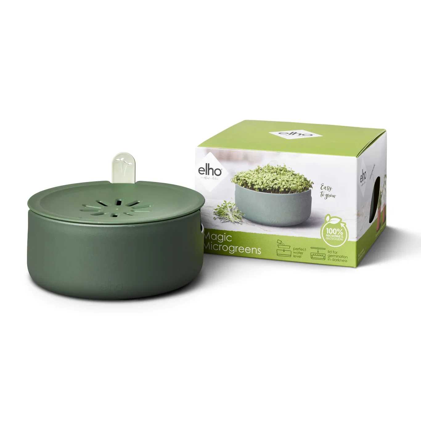 Spireskål Magic microgreens