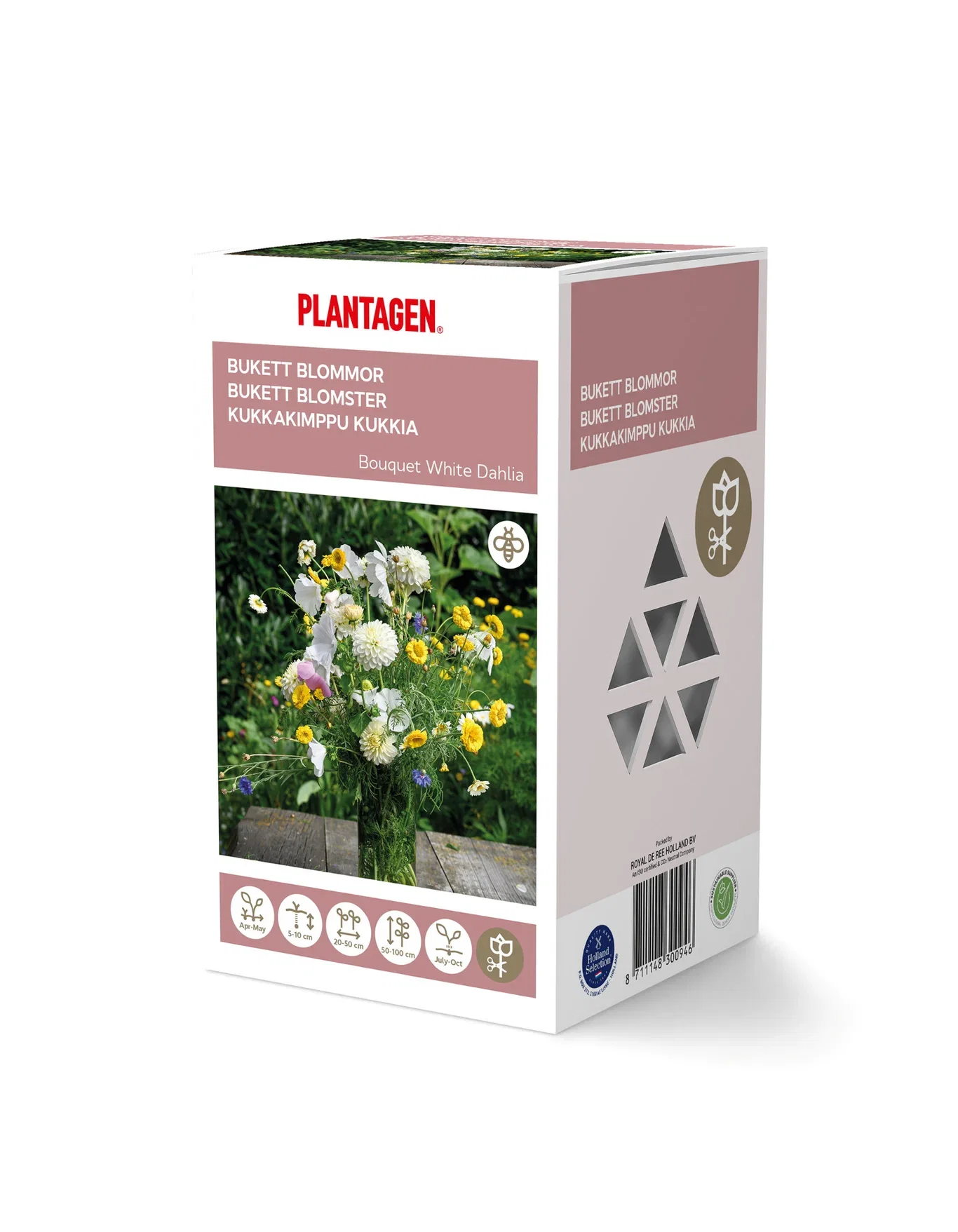 Bouquet Flowering - White Dahlia Box