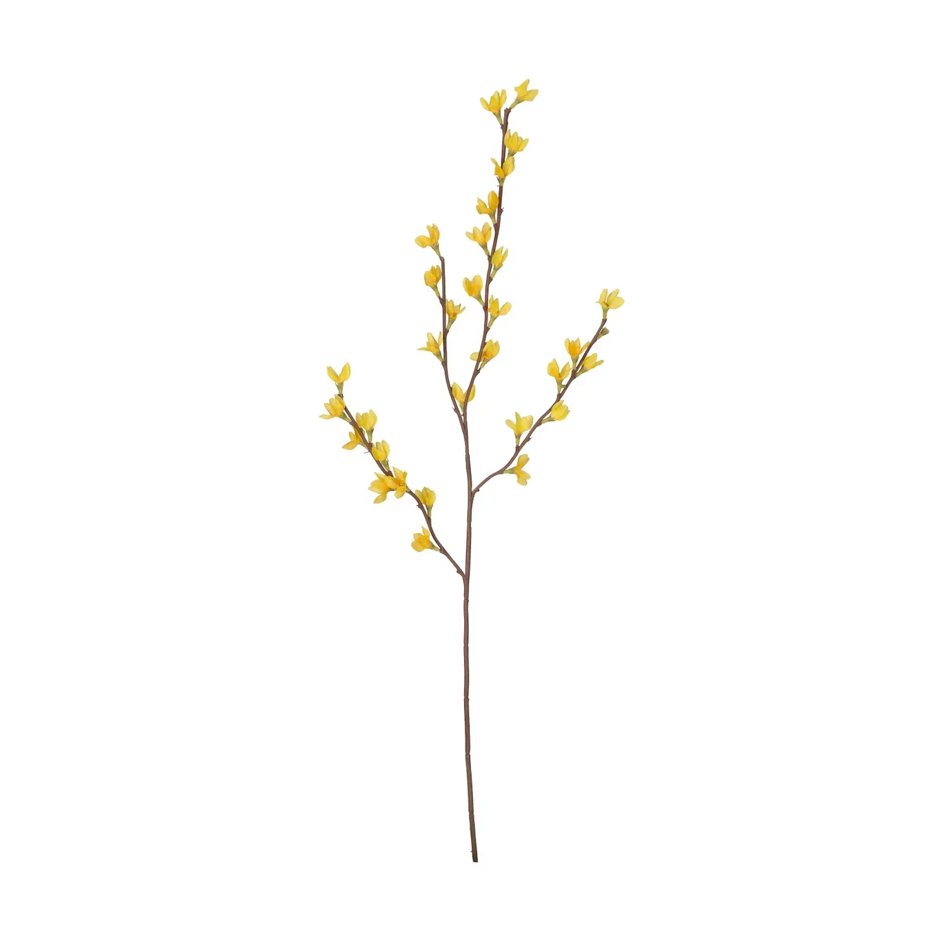 Forsythia branch H76 yellow