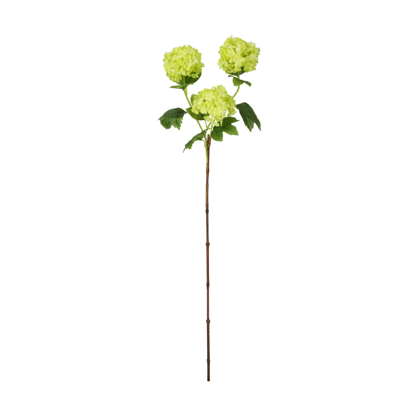 Hydrangea branch H80 cream