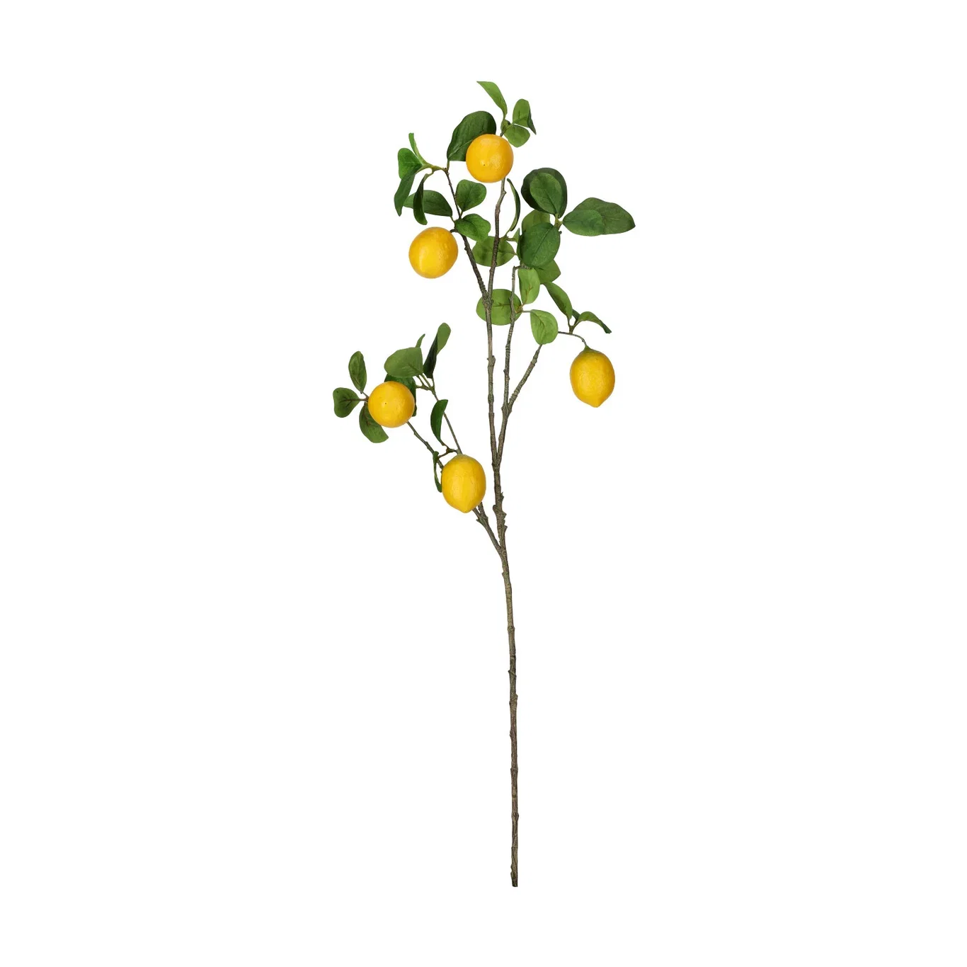 Lemon branch H84 green