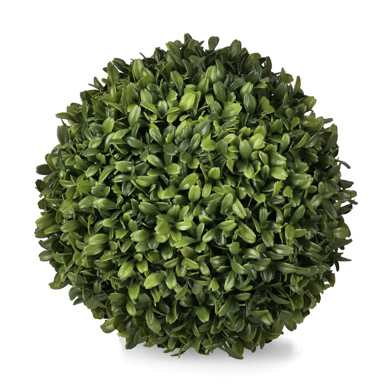 Buxus ball D22 green