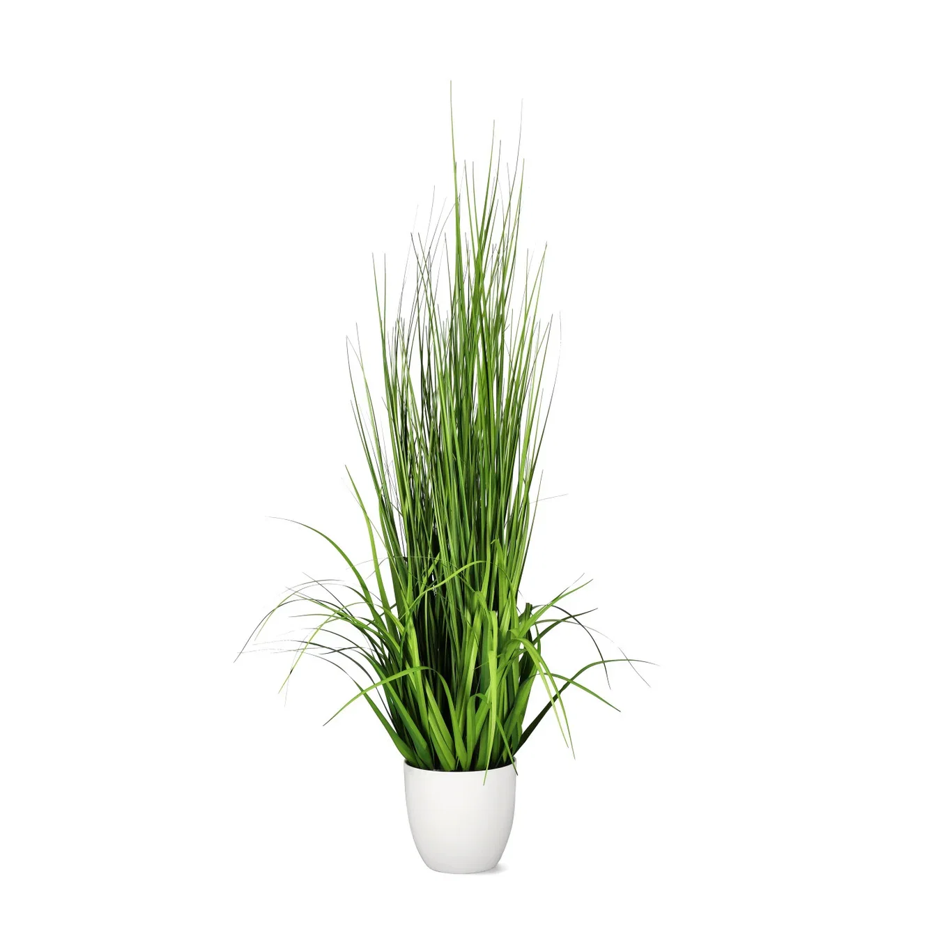 Grass potted H148 green