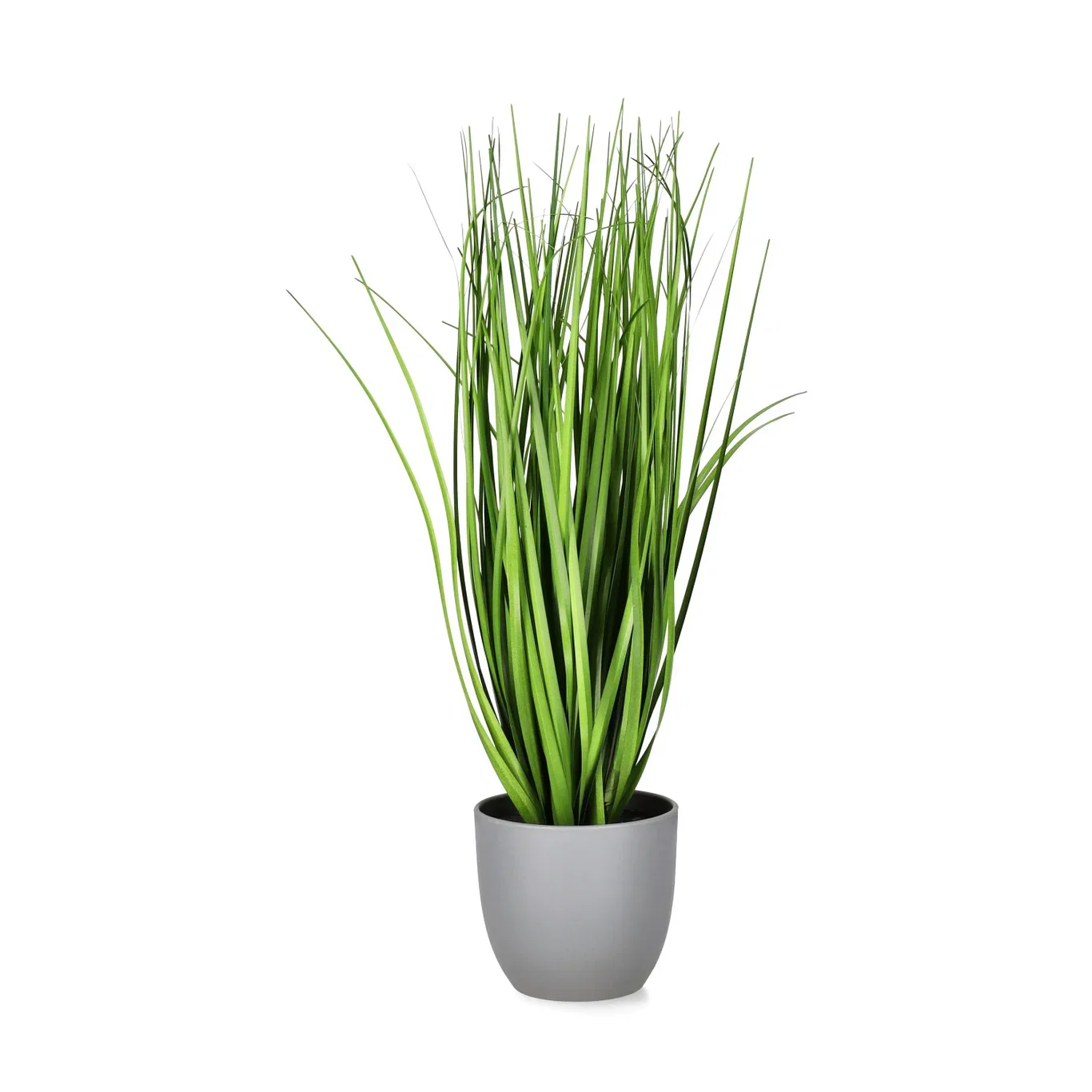 Grass potted H38 green