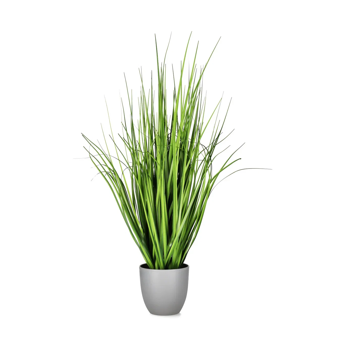 Grass potted H80 green