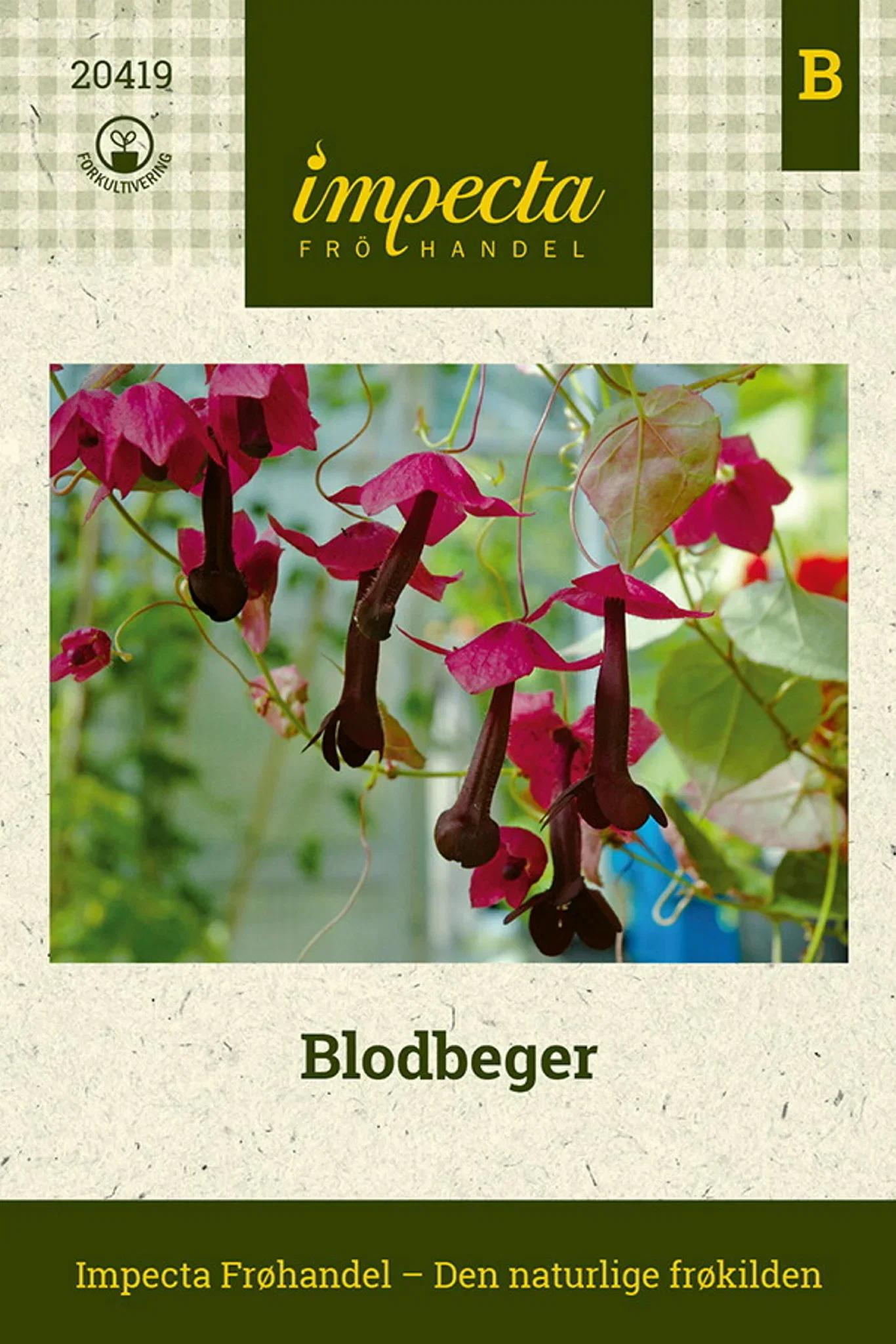 Blodbeger