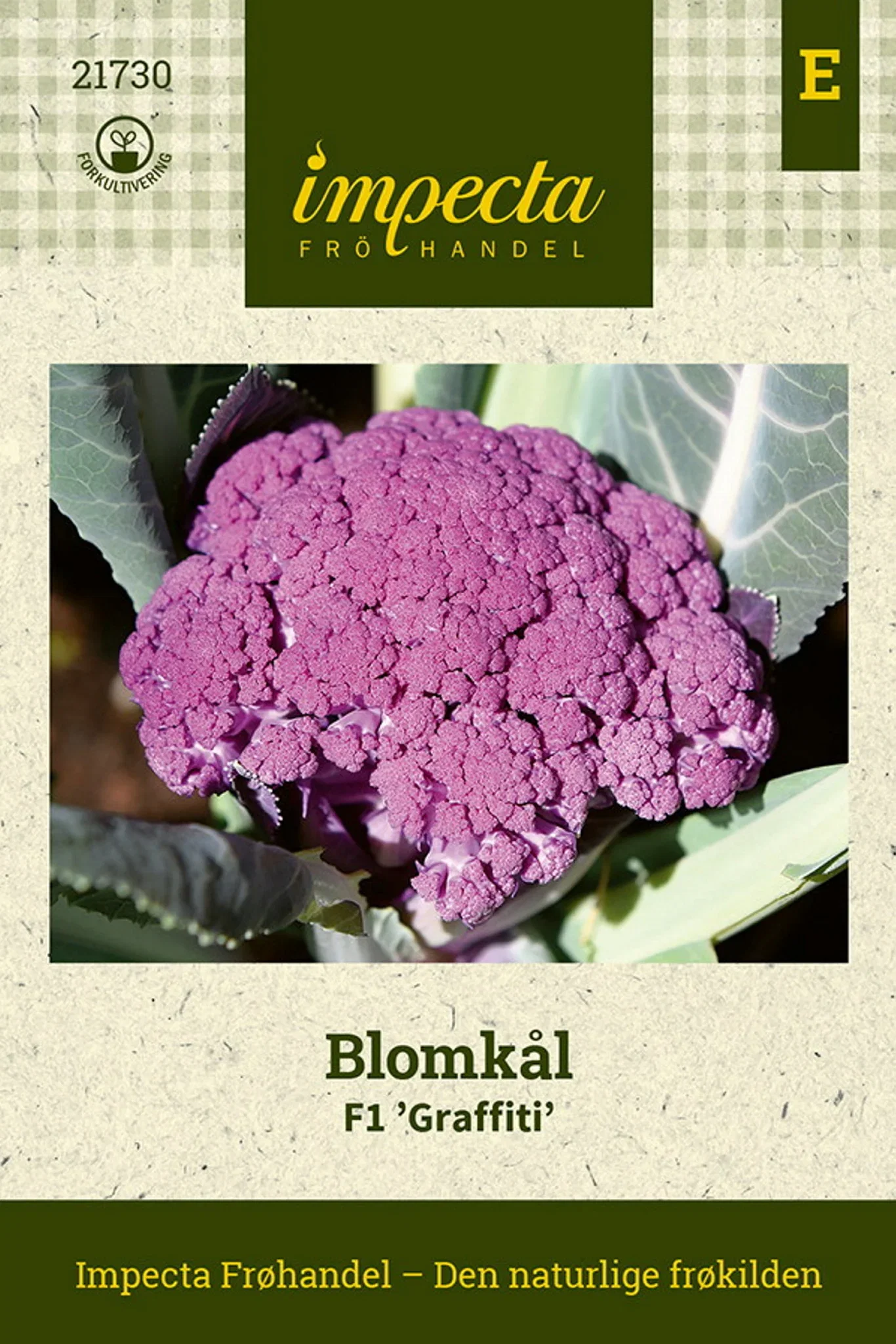 Blomkål F1 'Graffiti'