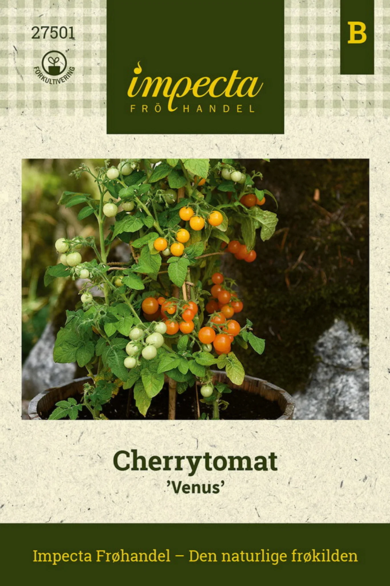 Cherrytomat 'Venus'