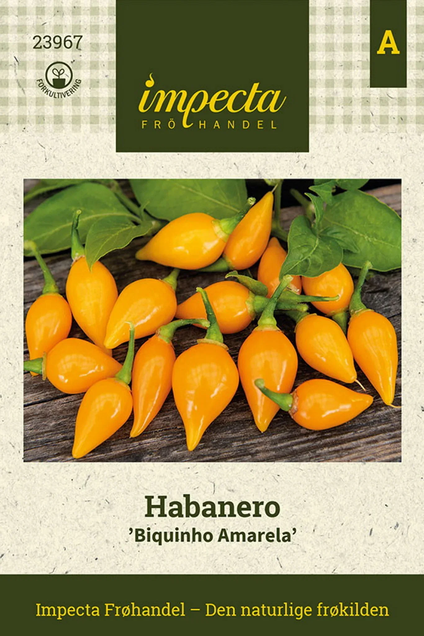 Habanero 'Biquinho Amarela'