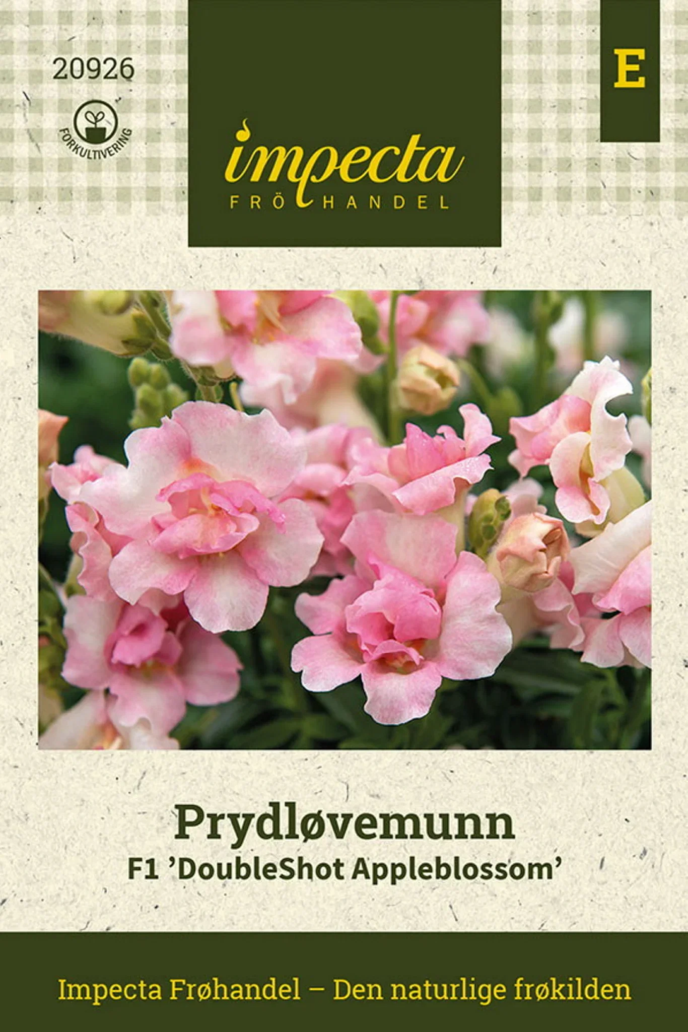Prydløvemunn F1 'DoubleShot Appleblossom'