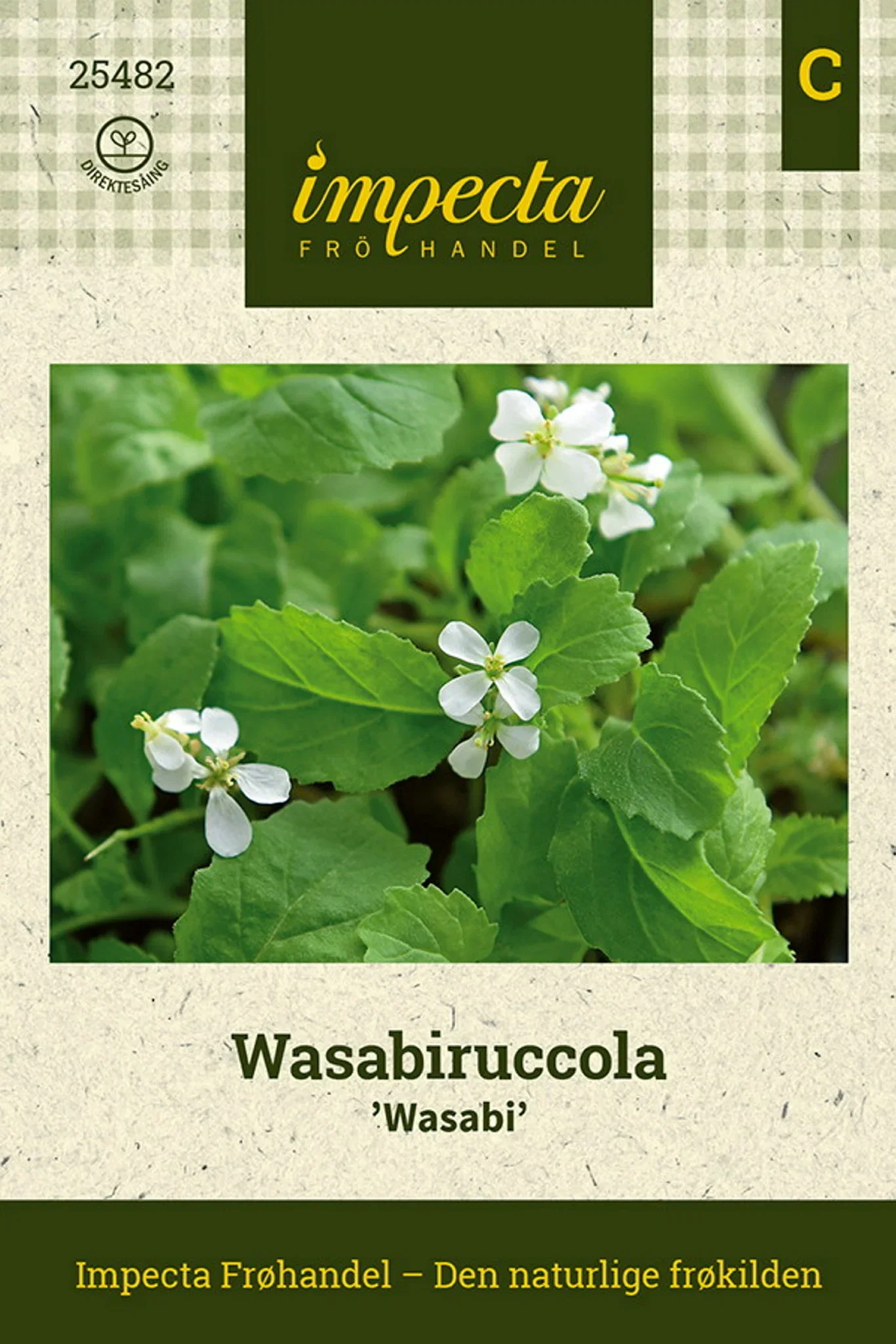 Wasabiruccola 'Wasabi'