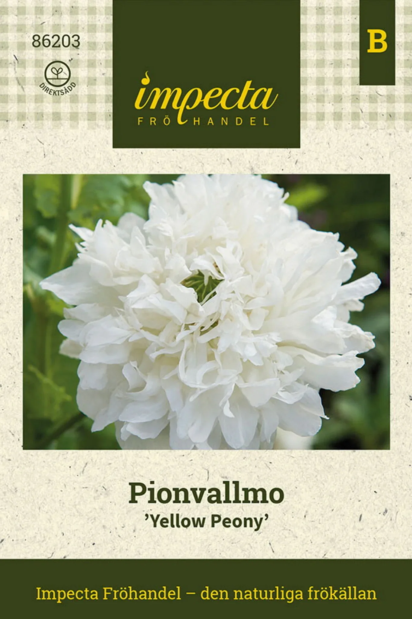 Pionvallmo 'Gul pion'