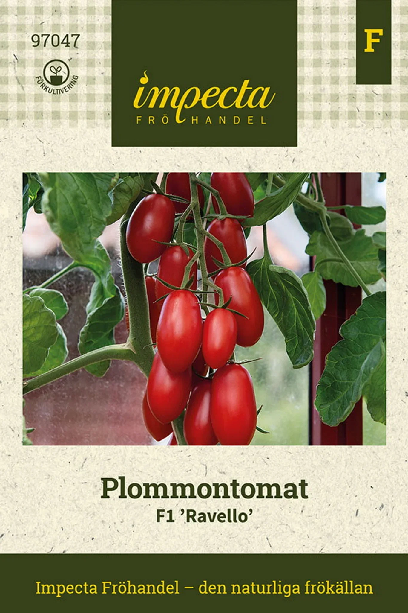 Plommetomat F1 'Ravello'