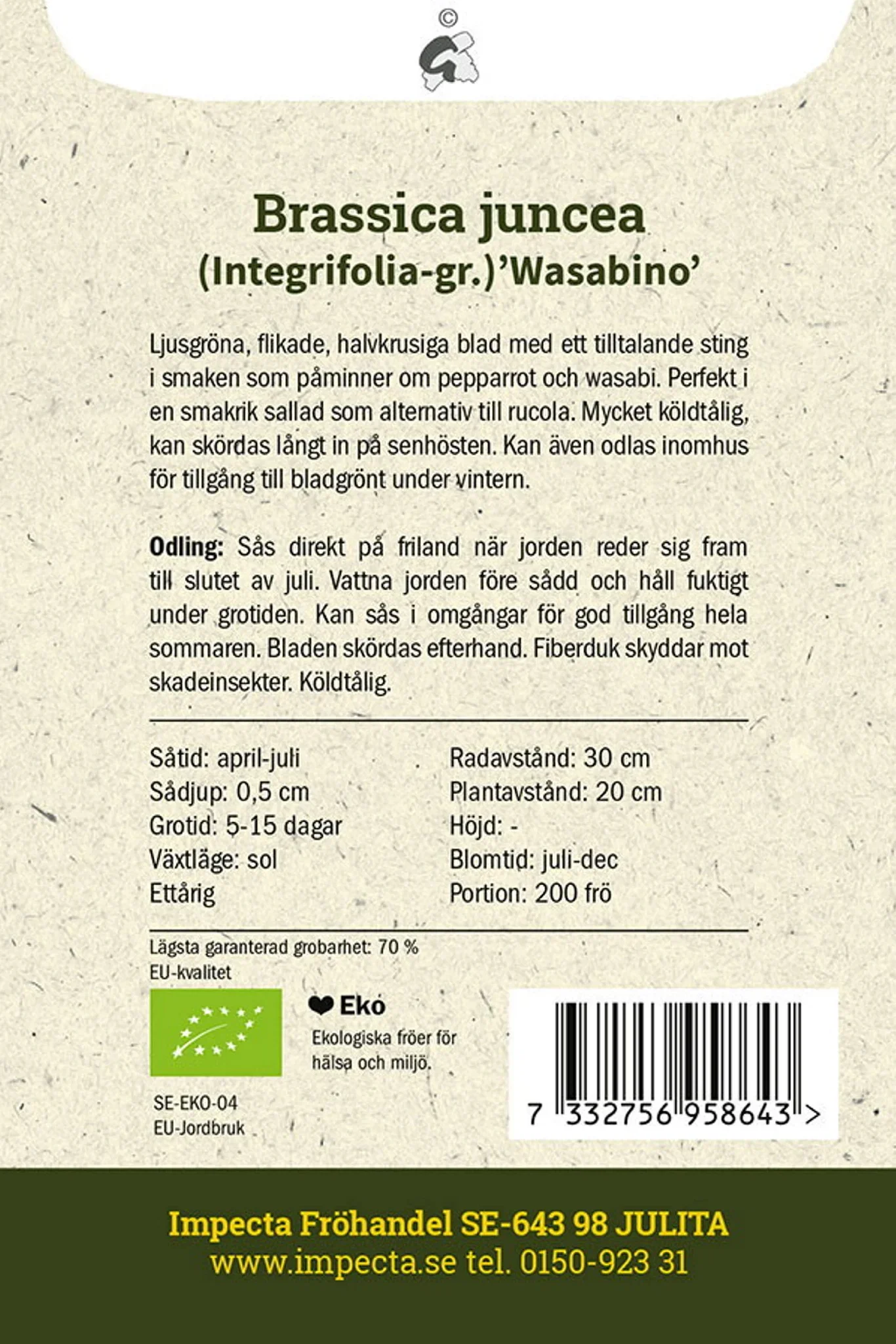Wasabino' salatsennep