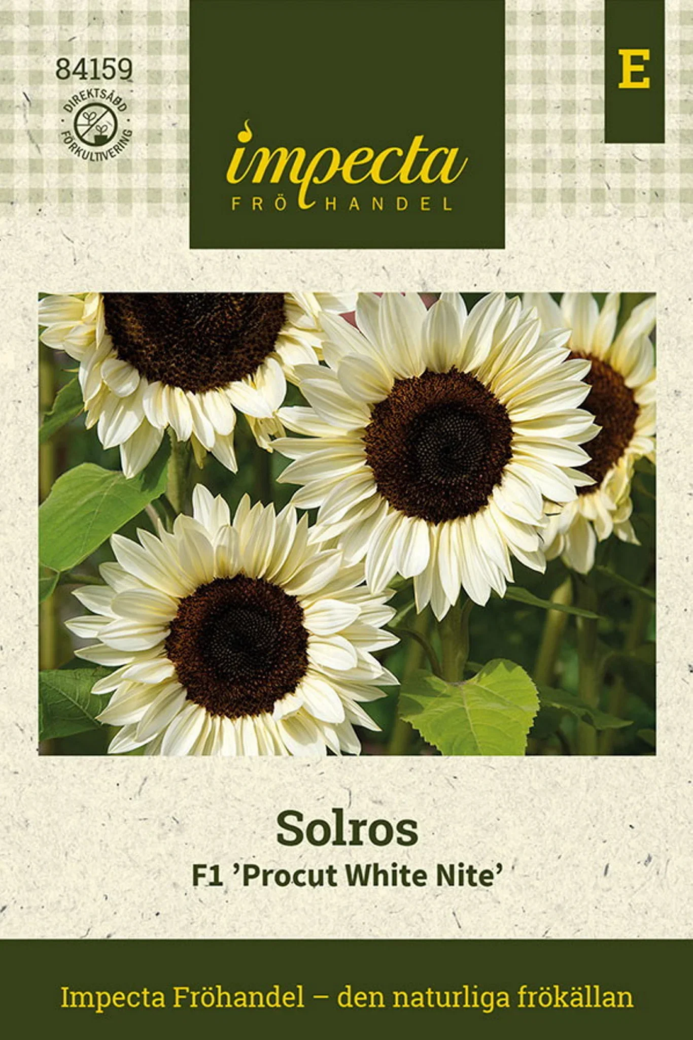 Solsikke F1 'Procut White Nite'