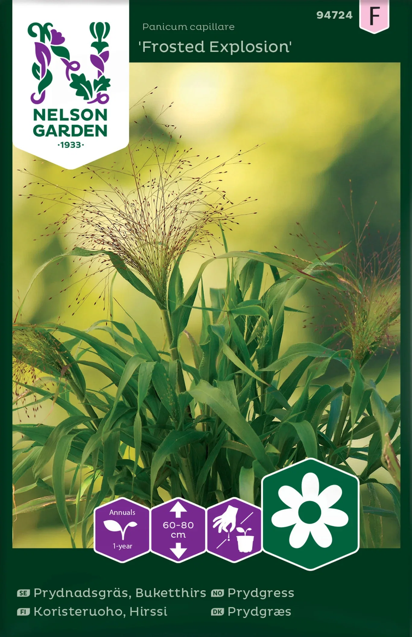 Prydnadsgräs, Frosted Explosion